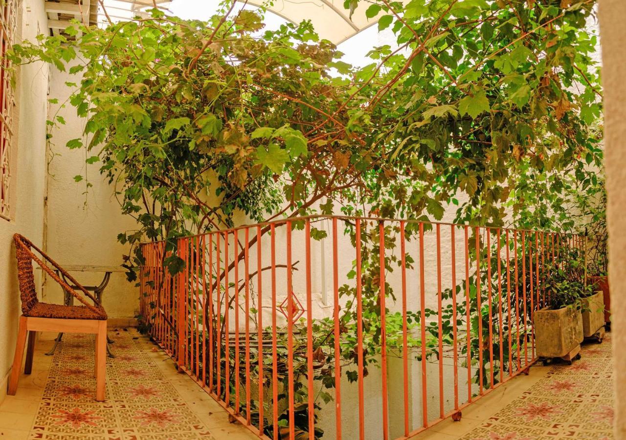 Casa Rosa - Alma Hotels ซันตามาร์ตา ภายนอก รูปภาพ